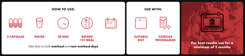 How To Use BrutalForce LigaBulk